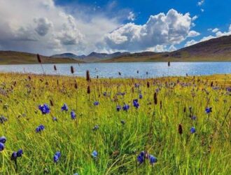 Exploring Deosai National Park: Pakistan's