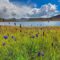 Exploring Deosai National Park: Pakistan's