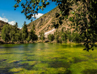 Naltar Valley Pakistan's Hidden Alpine Wonderland