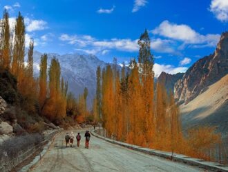 Exploring the Enchanting Beauty of Gojal Valley Pakistan Northern Gem